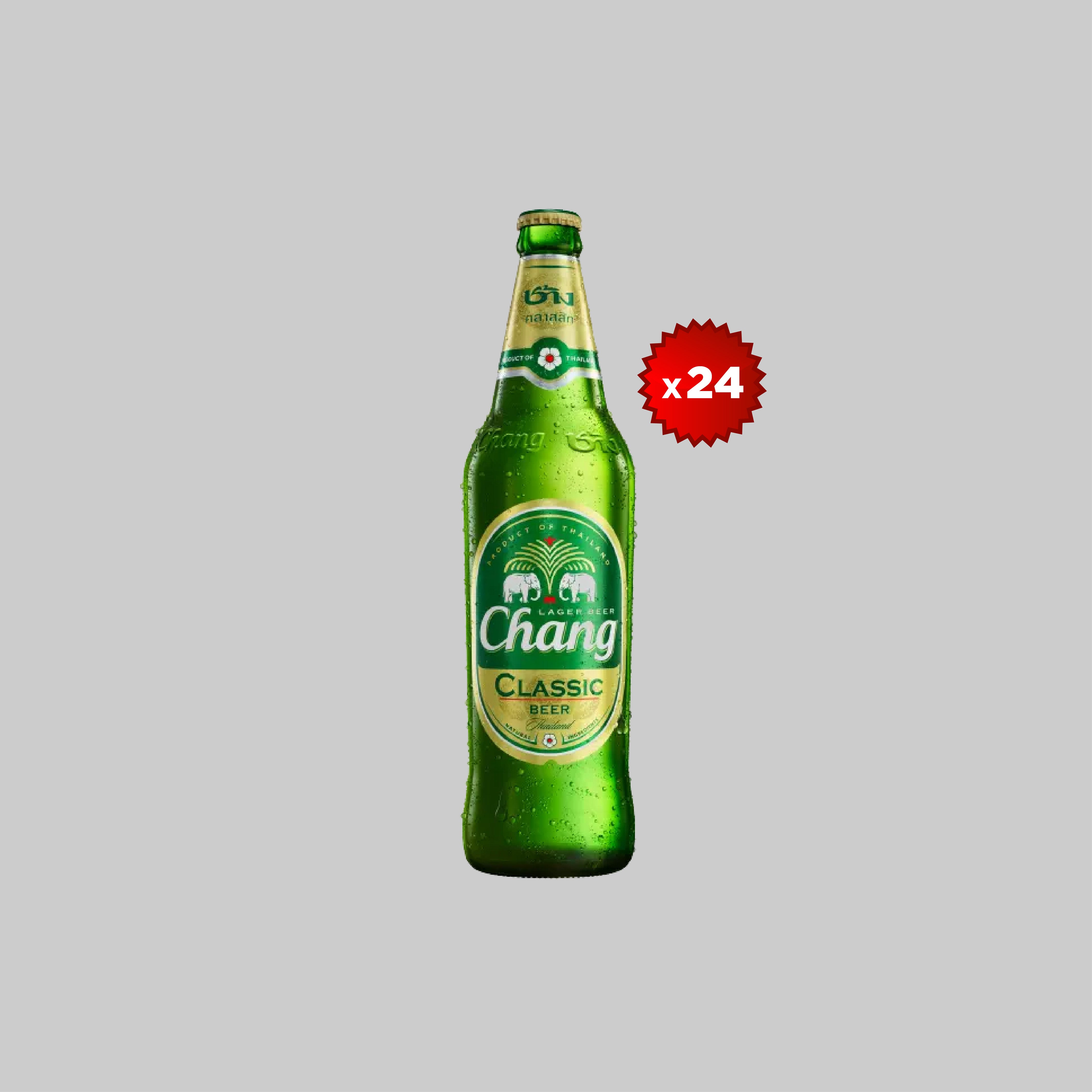 Chang Small Bottle 24x320ml 4.8% | Time2Drink